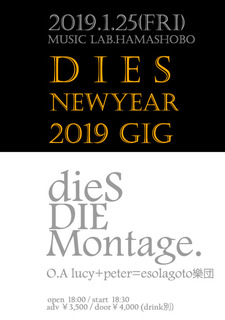 2019.jpg