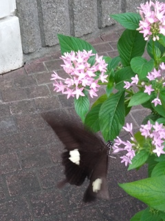 IMG00153.jpg