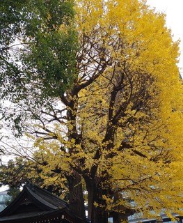IMG00444_HDR.jpg