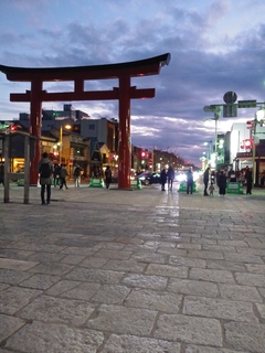 IMG00591.jpg