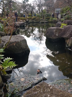 IMG00601_HDR.jpg