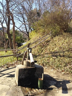 IMG00648.jpg
