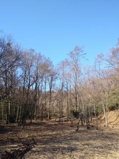 IMG00663.jpg