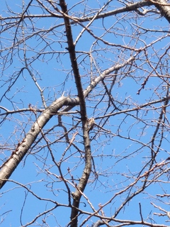 IMG00665.jpg