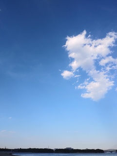 IMG00838.jpg