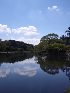IMG00842_HDR.jpg