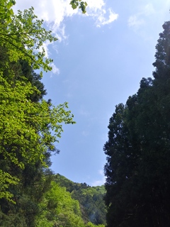 IMG01018_HDR.jpg