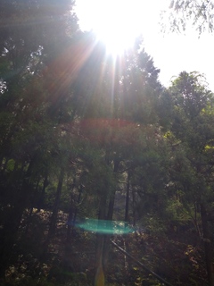 IMG01020_HDR.jpg