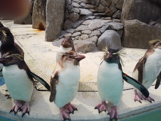 IMG01055.jpg