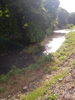 IMG01248.jpg