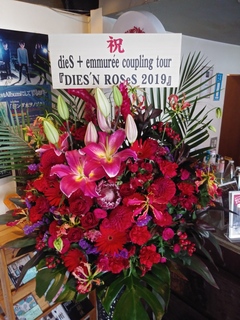 IMG01360.jpg