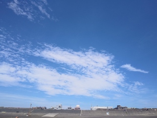 IMG01543.jpg