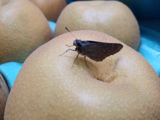 IMG01560.jpg
