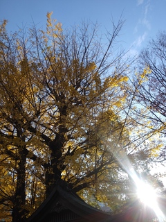 IMG01835.jpg