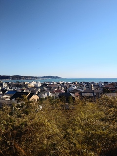 IMG02004.jpg
